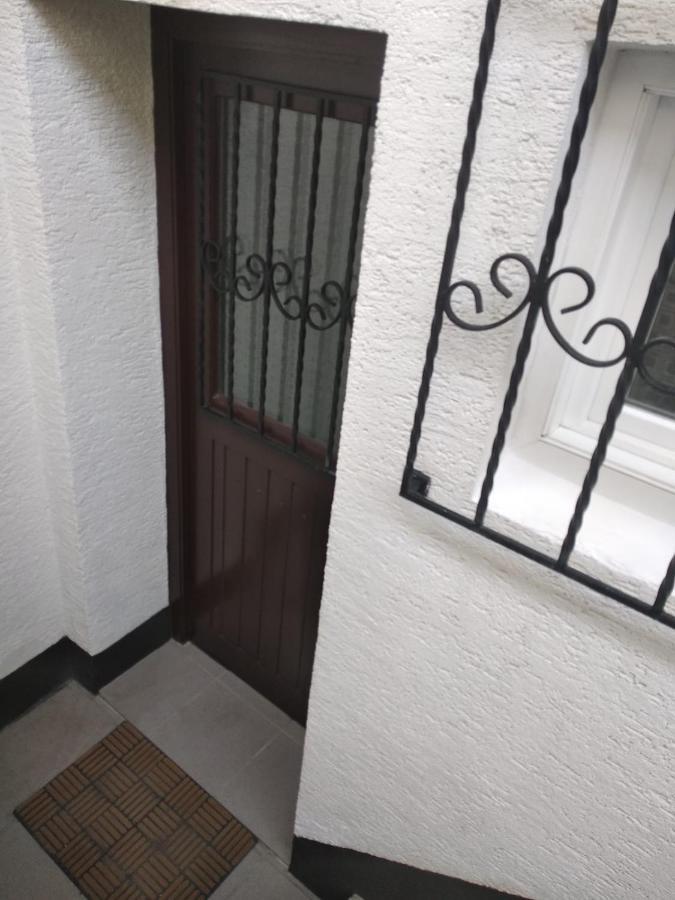 Gemütliche Ferienwohnung mit Kamin und Sauna! Nistertal Exterior foto