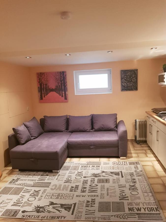Gemütliche Ferienwohnung mit Kamin und Sauna! Nistertal Exterior foto