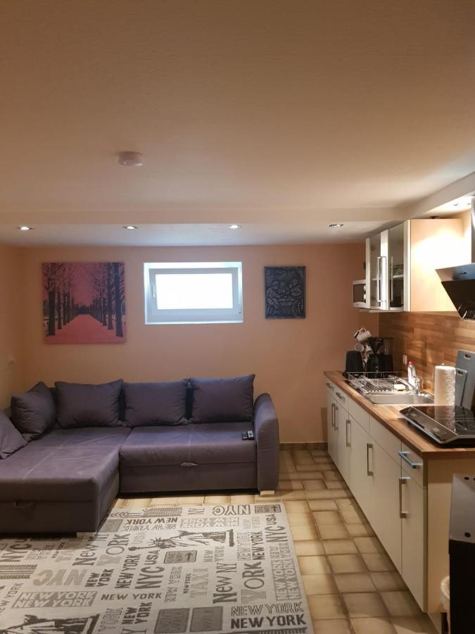 Gemütliche Ferienwohnung mit Kamin und Sauna! Nistertal Exterior foto